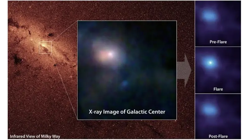 No description available