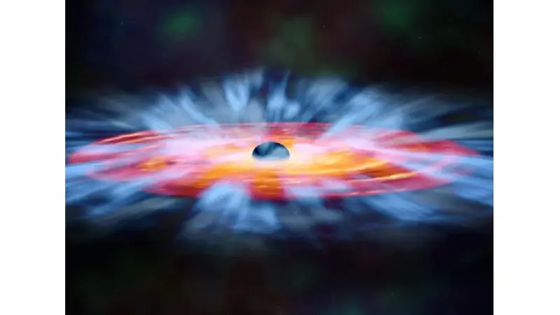 No description available