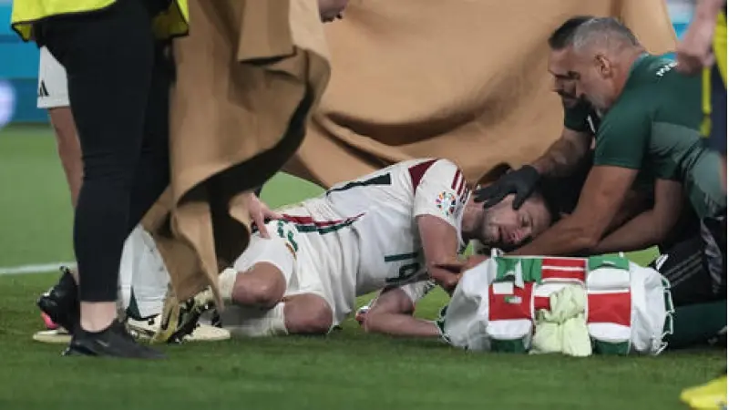 No description available