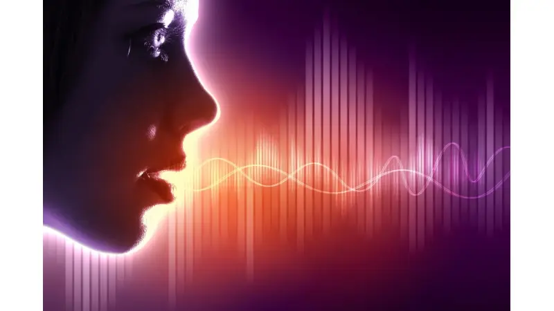 No description available