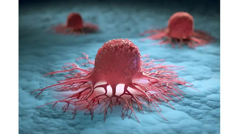 No description available