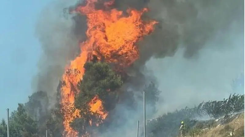 No description available