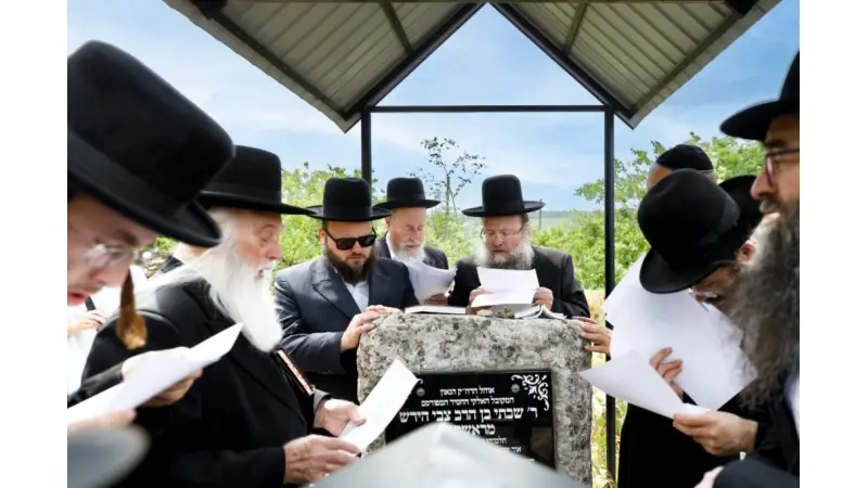 No description available