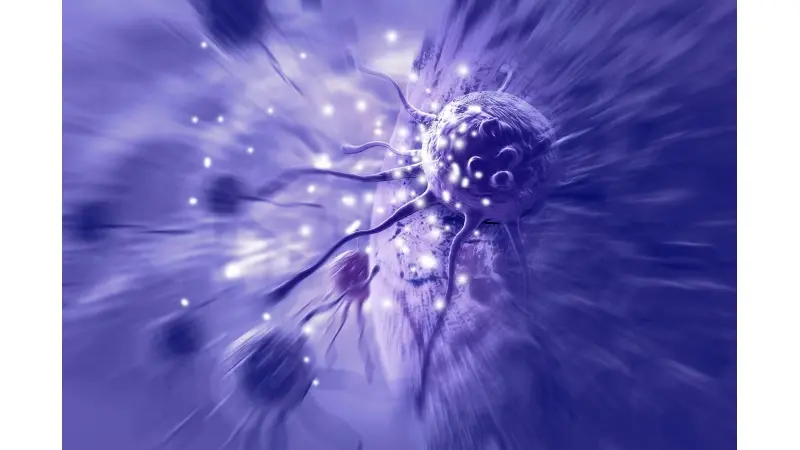 No description available