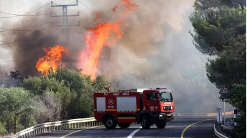 No description available