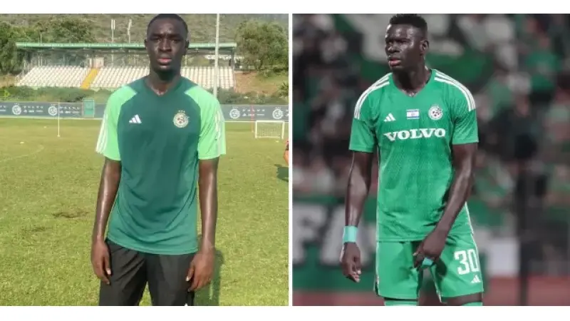 No description available