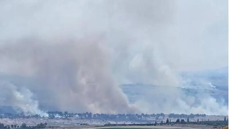 No description available