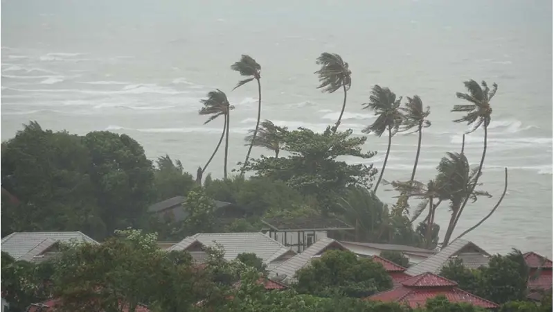 תזכורת לנזקי הוריקן בפלורידה. צילום freepik