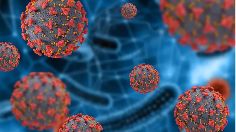 קורונה (צילום freepik)