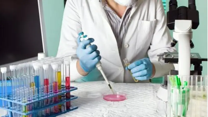 No description available