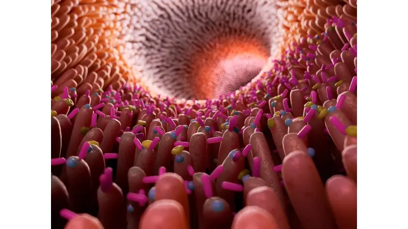 No description available