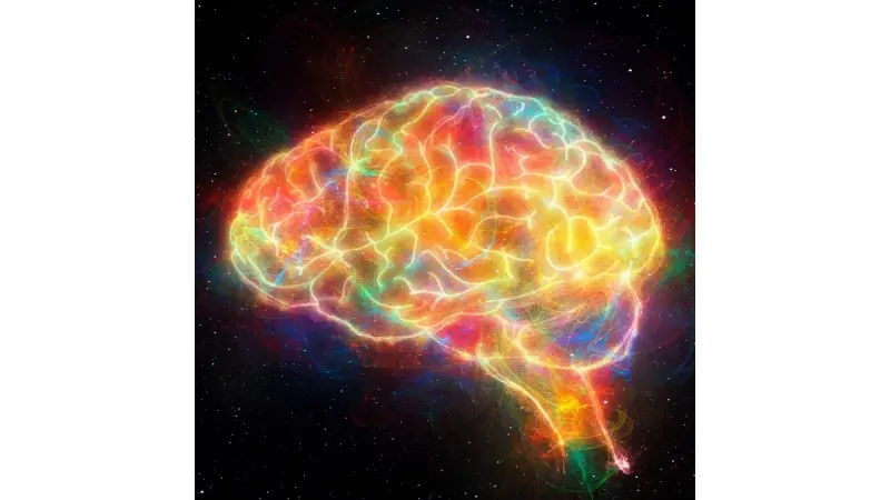 No description available